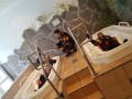 IMG-20180211-WA0006_rs